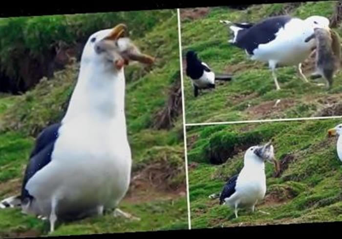 ��ڱ�Ÿ�ڶ�ѨǰΧ��1����������ֻ����