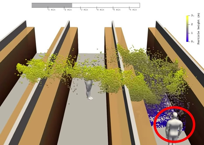 模型显示病毒可传到两排货架以外,感染其他人。