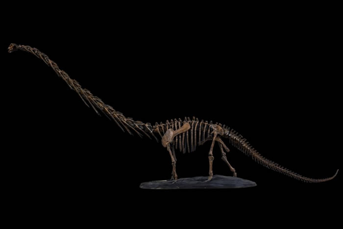 普贤峨眉龙3D模型