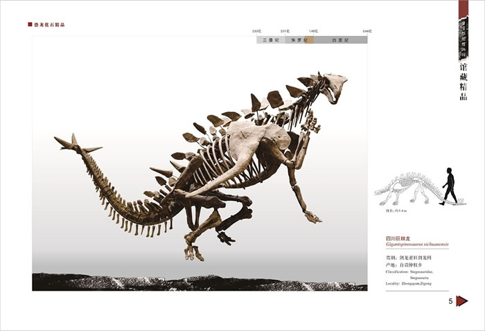 �Ĵ��޼���