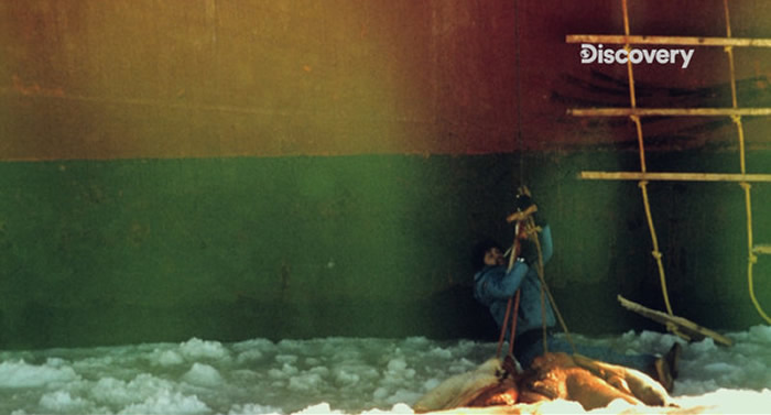 沃森刻意把自己跟海豹的皮毛铐在一起,随之冰上拖行,表达强烈抗议。