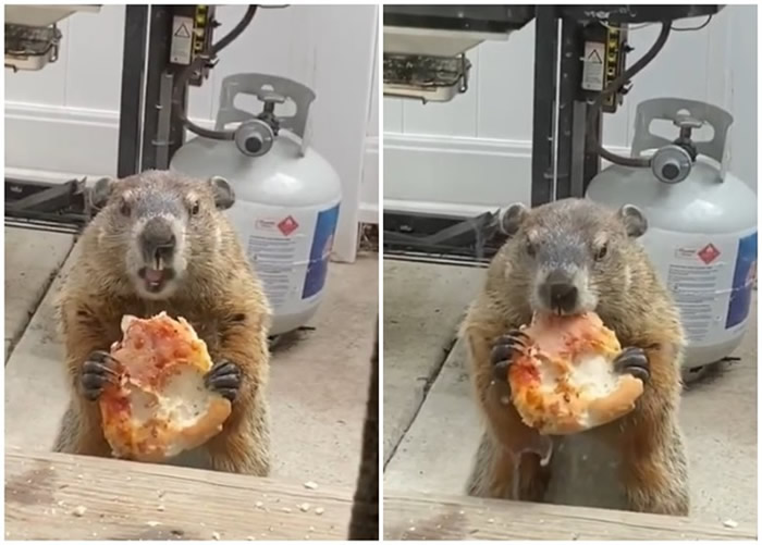 ѳŮڼкռһֻ԰ô󱡱