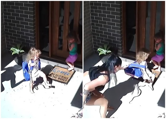 澳洲昆士兰省博伊尼岛一家出门遇毒蛇 母亲一手拉开女儿脱困