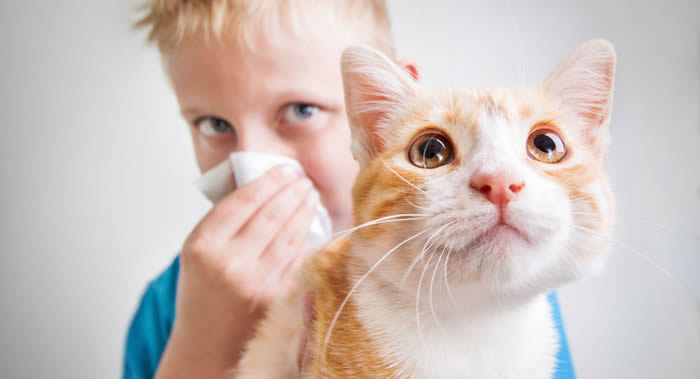 世界卫生组织专家预言21世纪将出现全球过敏的“流行病”