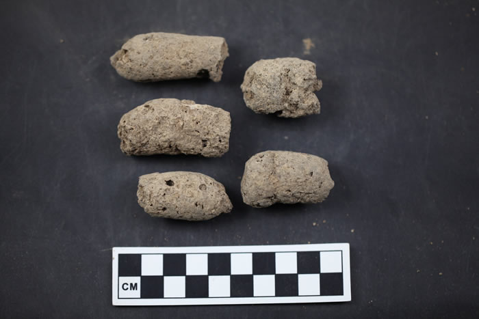 ��һ����7000����ʷ���й�ũׯ���ֵ�Ȯ���㡣ͼƬ��Դ��JADA KO