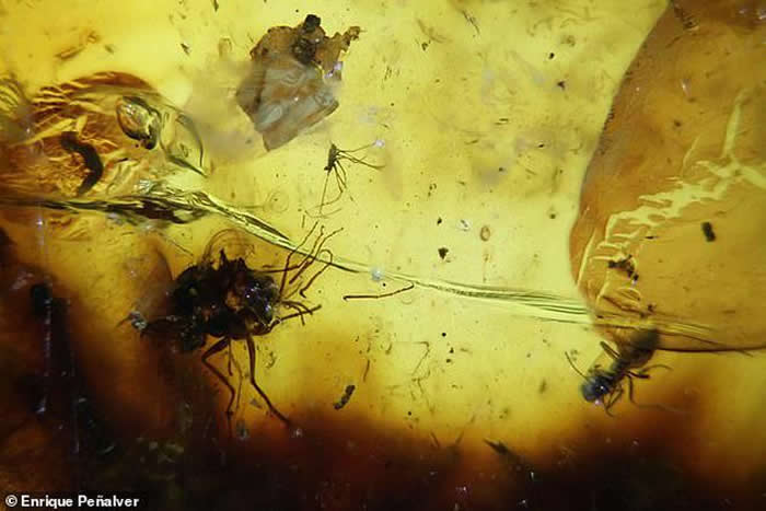 ����ֻ��Ӭ���ܽ���ʱ��С�ı���֬ճס��Ȼ�����Զ�����һ�����Ƿǳ���Ȥ�ĸ����ɴ�½���潻���龰��