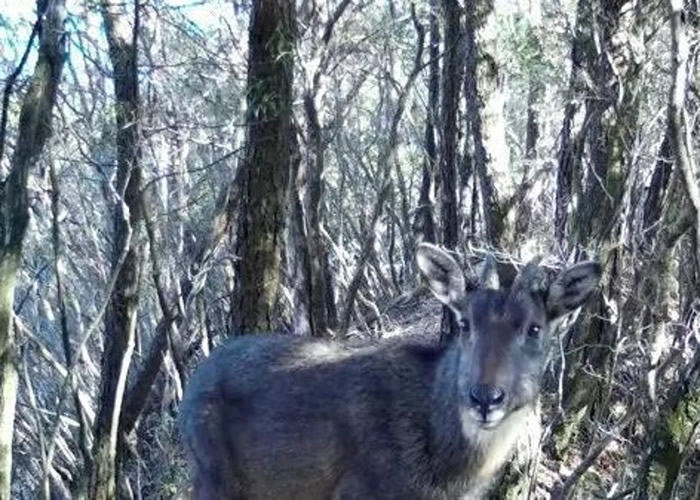 �㽭ʡ̨�����ɾ�������ɽʡ����Ȼ������������ϡ��ΣҰ�������л�����