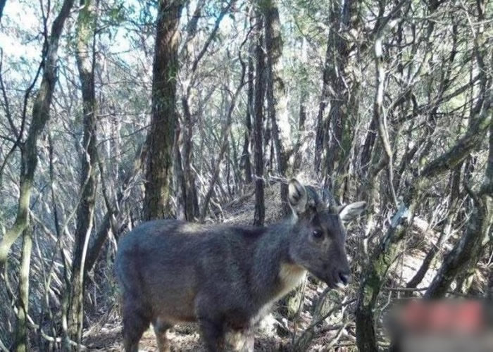 �㽭ʡ̨�����ɾ�������ɽʡ����Ȼ������������ϡ��ΣҰ�������л�����