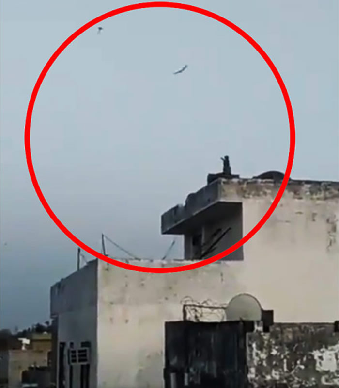 印度民众拍到猴子爬上屋顶放风筝奇景 网民笑言封城加速进化