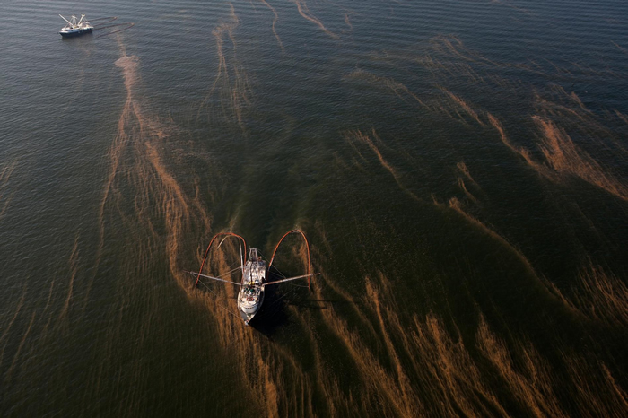 船只利用围油栏(absorbent booms)来拦捕深水地平线漏出来的油。 PHOTOGRAPH BY TYRONE TURNER, NAT GEO IMAG