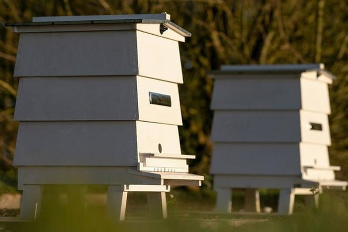 ֪ܲ˹˹ԭҲŮۡ ǮҲ򲻵