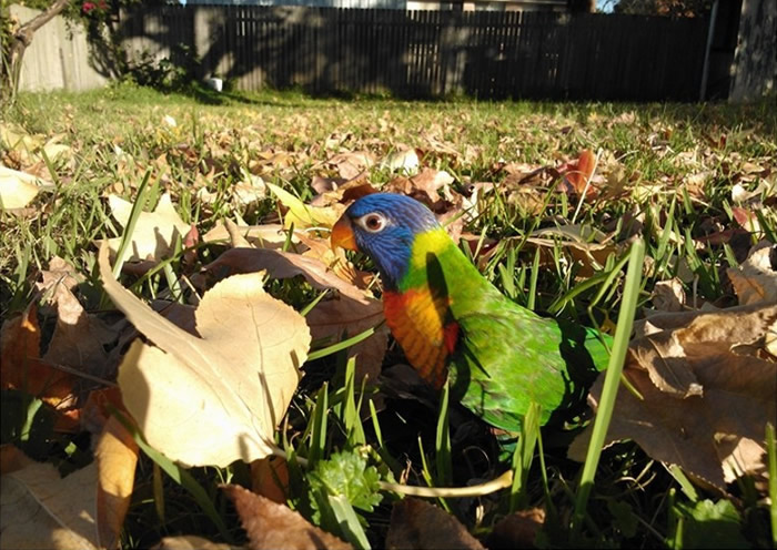 ޶ֻĳ¹ڷƲ һļ˺ҧ