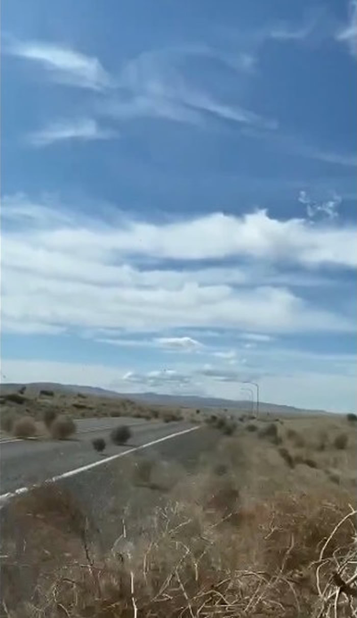 美国华盛顿州记者驾车遇上罕见风滚草“龙卷风”