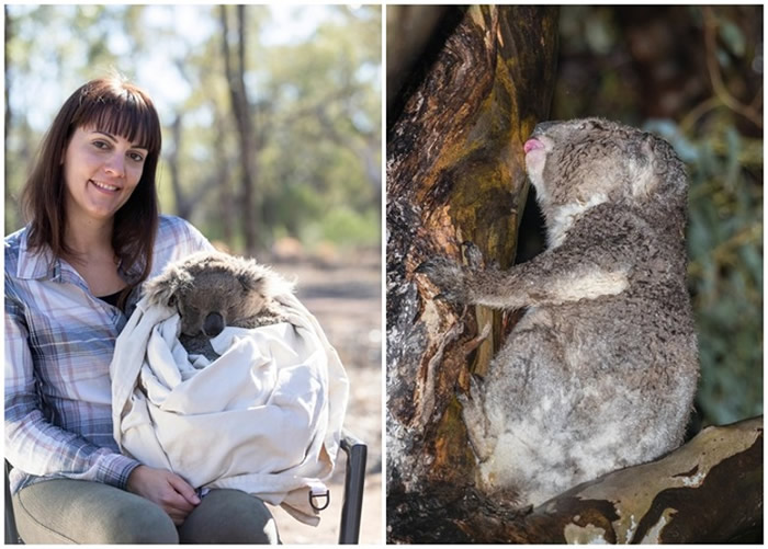 Ұ�����ܳ�����Ҷ����ˮ���� Ҳ����˱���������ϵ���ˮά��