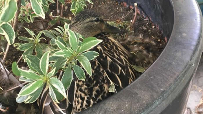 �������ո��ݿ�ȸ�������ڷ���Ѽ�̵�Ѽ��