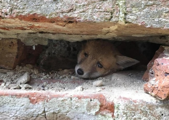 Ӣ����������˹���׺�����ǽͷխ�� ����һ���ջ��