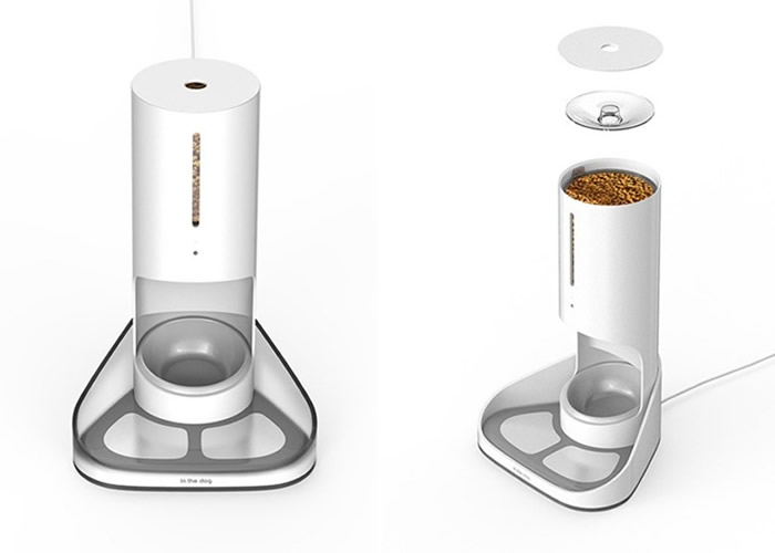 ʦϽԶιʳĶ๦ܻIN THE DOG