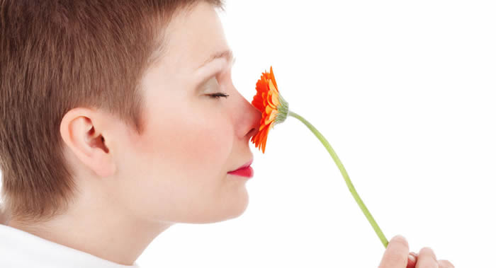 美国科学家解释为什么新型冠状病毒患者会失去嗅觉