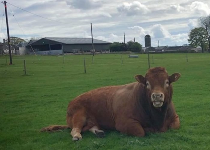 Ӣոɿ˿ţĥ߸ɦײѹ ¸3800ͥϵ