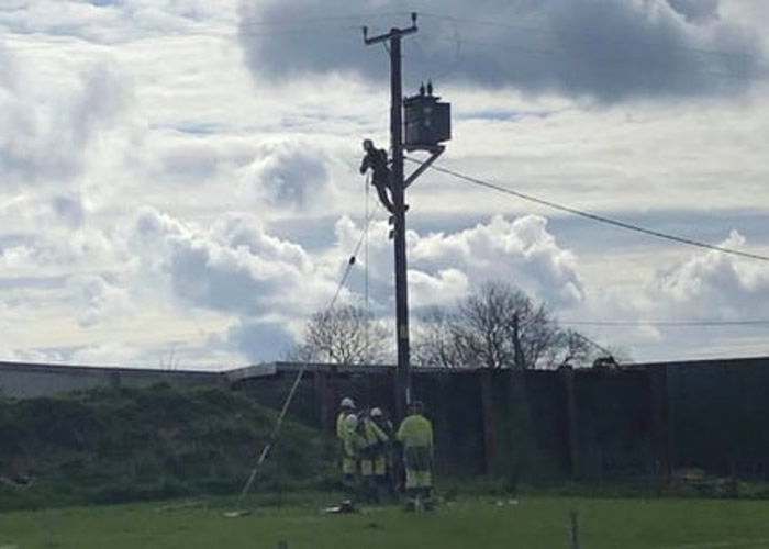 Ӣոɿ˿ţĥ߸ɦײѹ ¸3800ͥϵ