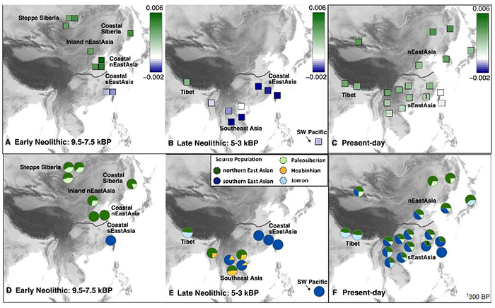 表明现今东亚人群混合有新石器时代早期的古南方人群成分和古北方人群成分情况。(A-C)新石器时代早期、新石器时代晚期及现今东亚和东南亚人群与东亚南北方古人群之间的