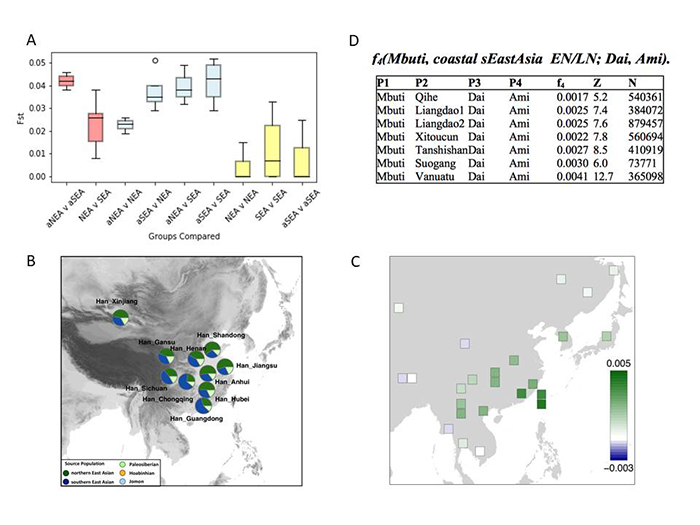 (A)不同人群的遗传分化指数分布图,指数越高表示相关人群的分化程度越高,遗传差异越大,该图表明新石器时代南北方人群的的遗传差异远高于现今东亚南北方人群。(B)现