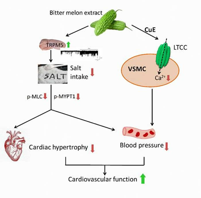 �����ȡ����Ƹ����յ�����Ѫ����