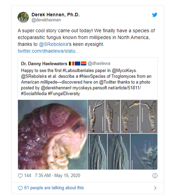 ��ѧ���ڷ�����Twitter��ǧ�����Ƭ�з����µļ������ ��Twitter����