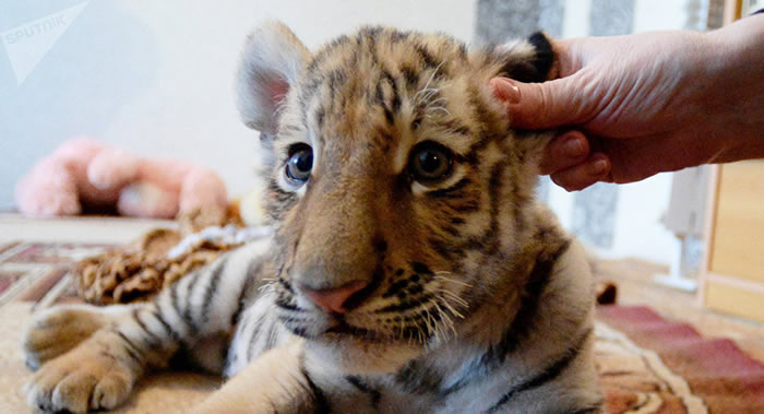 ˹Լලץһֻ߽ׯ갢¶