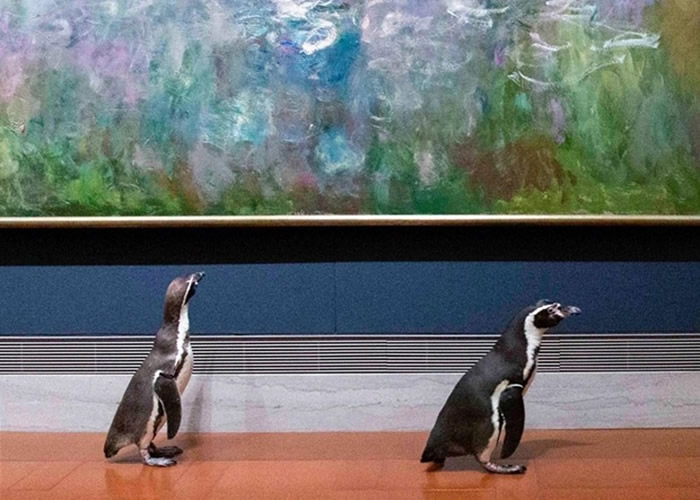 �����������ݿ���˹�Ƕ���԰���������ɶ�ѷ-���ؽ�˹�����������������