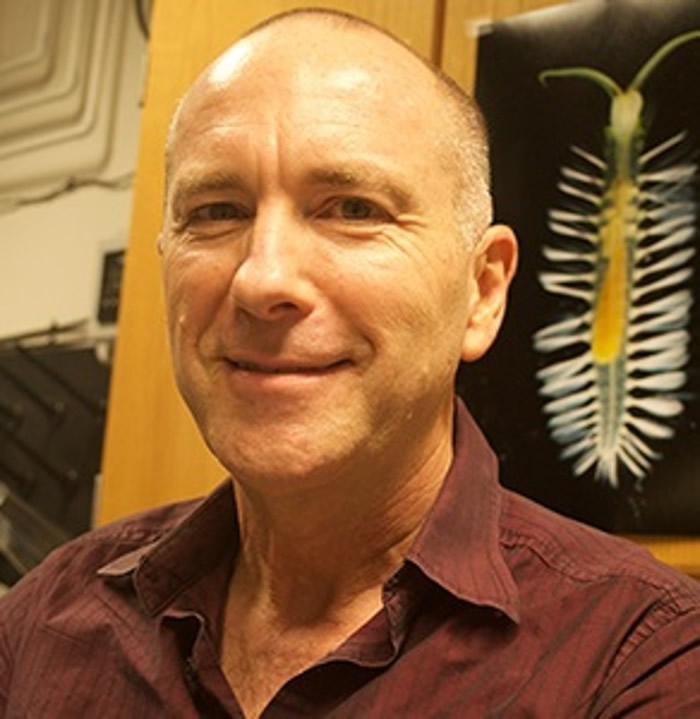 ��Ƭɫ�ʰ�쵵���Ʒ�������ԡ�è��������������è���۳桱Peinaleopolynoe Elvis