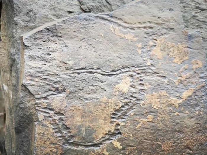 青海省玉树州曲麻莱县巴干乡巴达村通天河岸发现岩画?专家称或是侏罗纪时期虫迹化石