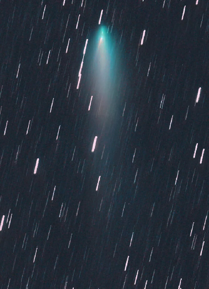 ͼƬ��ʾ����һ�Ű�ɫС�����ǣ������Լ����ص�β�ͣ�λ�������ǽϴ����ɫ�緢�С�