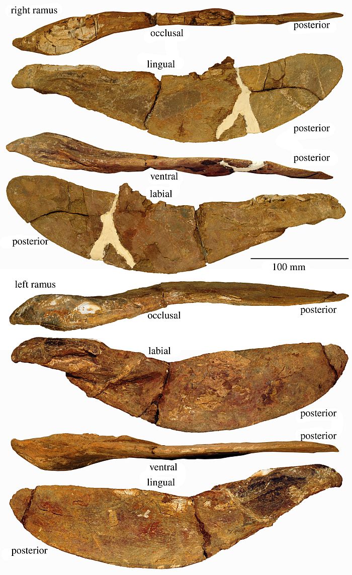 3.8����ǰ�����еľ���װ���㡰���㡱�Ľ�ʳ��ʽ�������ľ���
