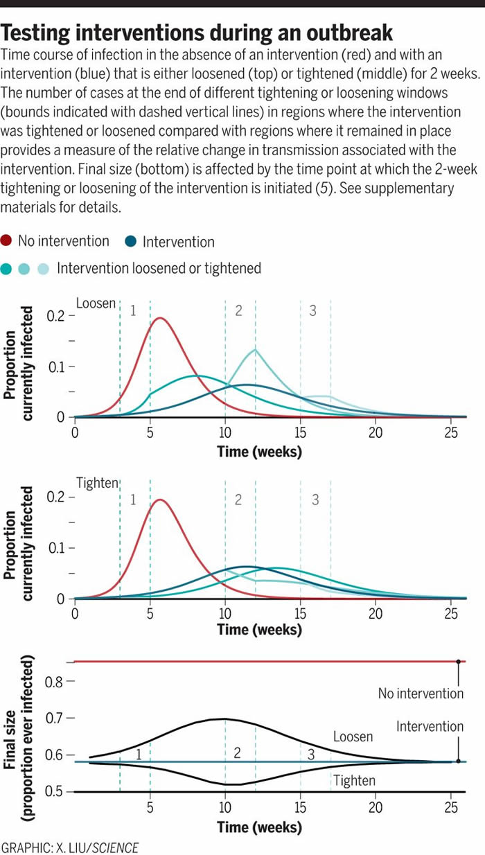 如何在COVID-19这样的疾病大流行中确定哪种干预措施最为有效