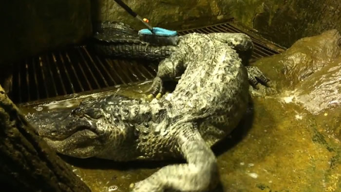 ˹Ī˹ƶ԰•ϣȶͼȥ