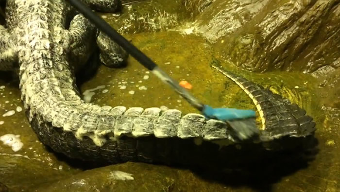 ˹Ī˹ƶ԰•ϣȶͼȥ