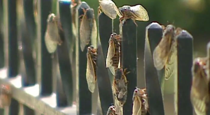 �����ڵ���������17��Ĳ����������������š��������ֵ���