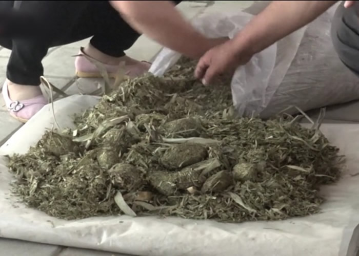 ����ʡ�������������ô���è�����ֽ ������ͳ���մ���