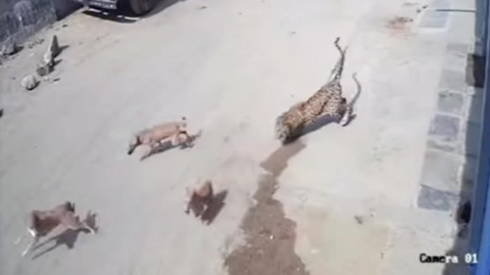 ӡ�ȱ���׷���������� �������ֻ��Χ��