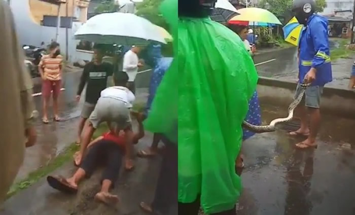 ӡQ嵺16ͻȻ·Ϊ¹ڷ׻ ԭ߲