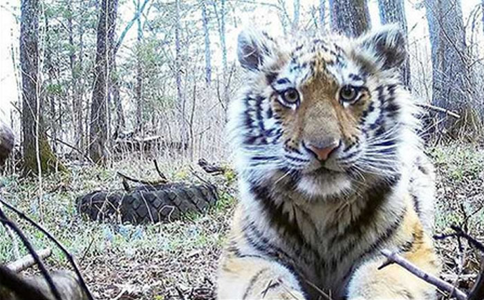 ����˹10���´��������ǻ�����·���ǻ��߽������������ ĸ��������ɱ