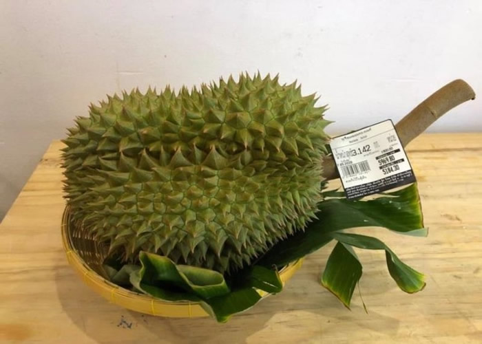 ̩��ϡ��ů������������ֱ������ ���������Ƴ�10��