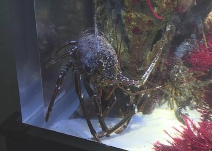 �ձ�������������ˮ����ؿ�������ס����������������Ϻ