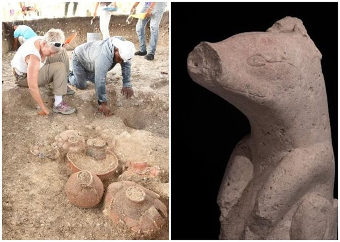 ī��������˹�����ȴ����ַ���������֪�������ϵ����Ź��������� ���3000����