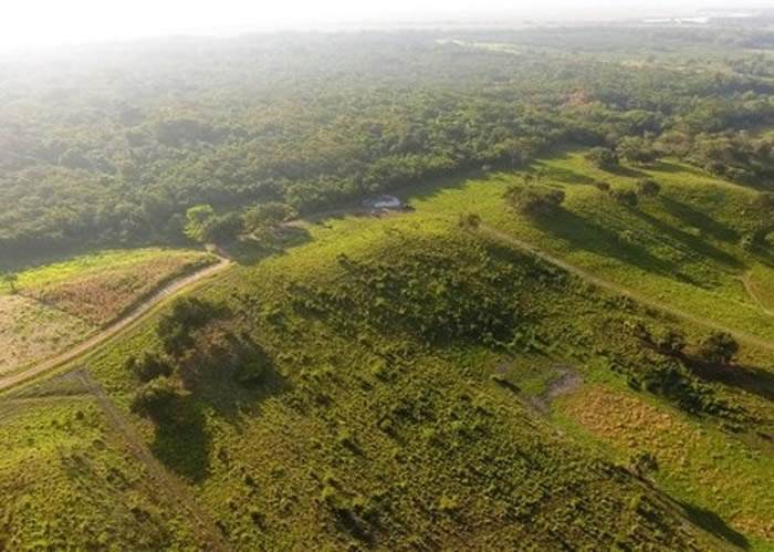 ī��������˹�����ȴ����ַ���������֪�������ϵ����Ź��������� ���3000����