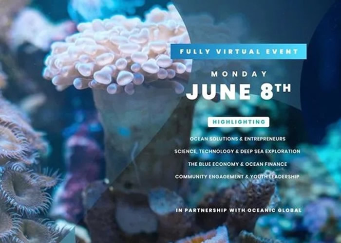 世界海洋日庆祝活动遍地开花 联合国举行网上直播活动