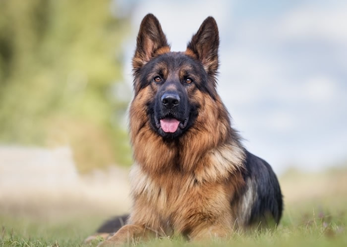 ������Ű�Ͽ徭�ú�ʾ������ʱ�ֶ��� ����������ǹ��������Ӣ������Ȯ������ѡ��