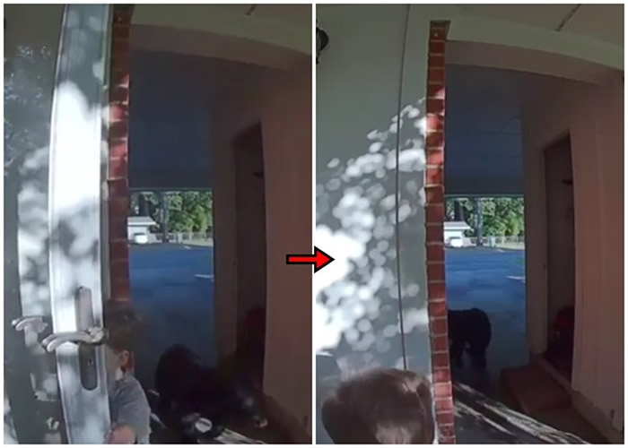 ����·��˹���������ގ���ͯ�ճ��������������ӭ������ ˫���ŵø��Ե�ͷ��