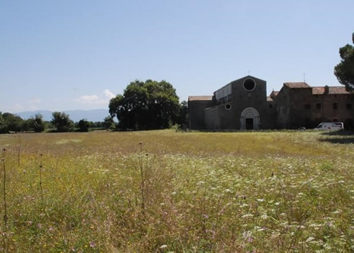 ��͸������״＼��ɨ��������������� �����м��ۼ�����